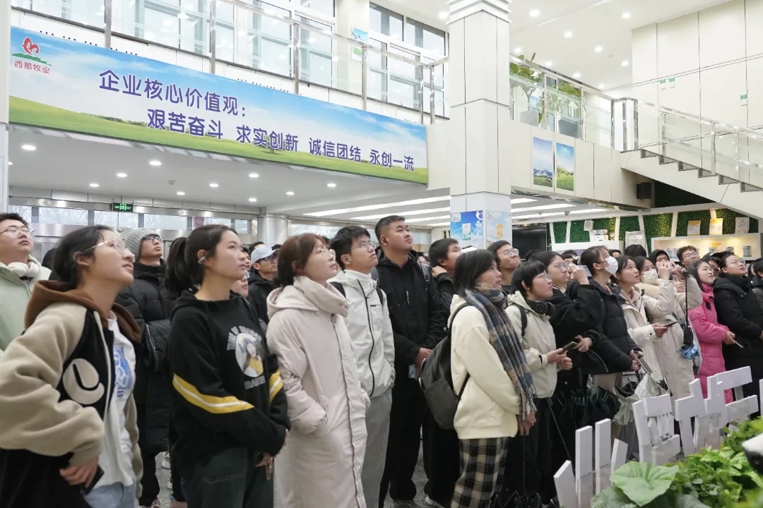 石河子大學(xué)食品學(xué)院師生走進(jìn)天山云牧開展認(rèn)知實(shí)習(xí)活動(dòng)